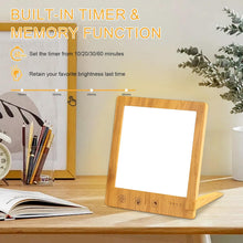 Load image into Gallery viewer, SAD Lamp for Winter Blues with 10,000 Lux Brightness